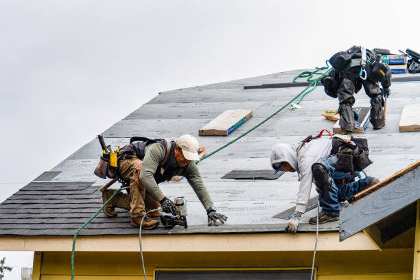 Professional Storm Damage Roof Repair technician working in Ashland, NJ